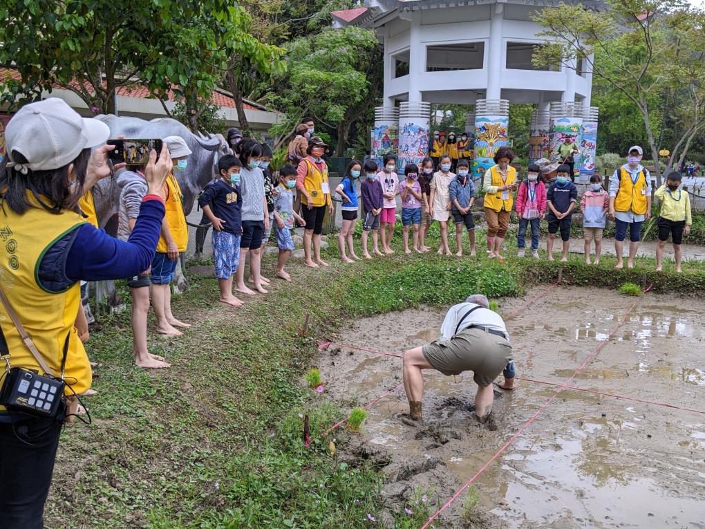 臺北市立動物園推廣食農文化  辦理「2022食農教育-農村生態體驗營隊」共9梯次